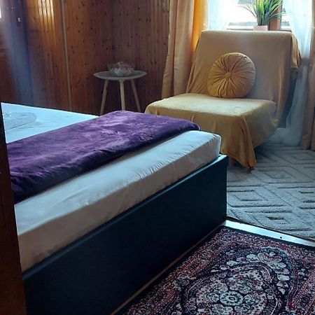 Διαμερισμα Χωρητικοτητασ Μεχρι 4 Ατομων Κεντρικα! Διαμέρισμα Μέτσοβο Εξωτερικό φωτογραφία